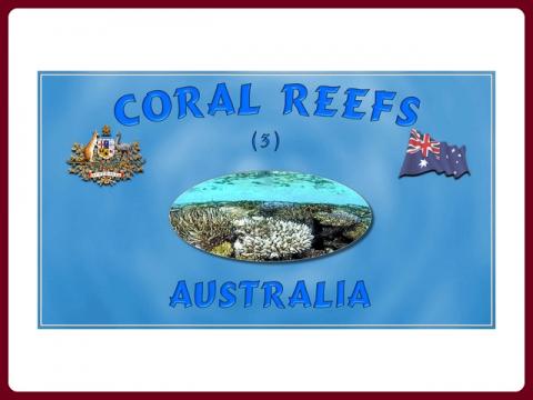 australia_koraly_-_steve_and_ivan_3