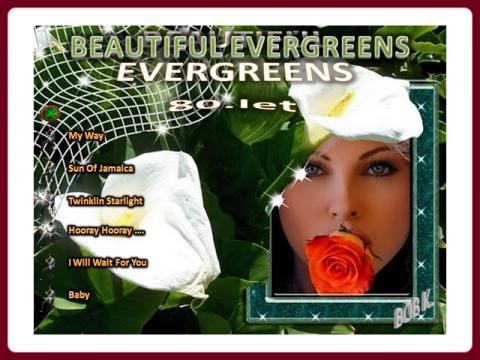 beautiful_evergreens_80_let