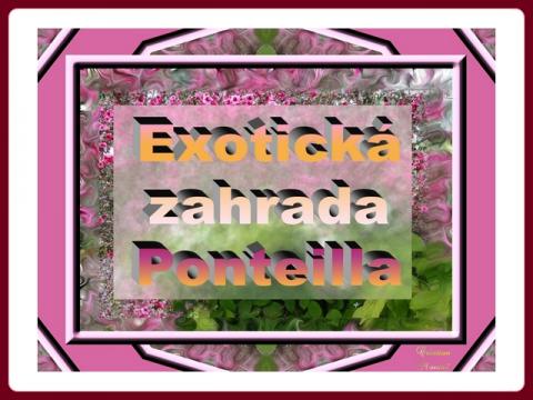 exoticka_zahrada_-_ponteilla