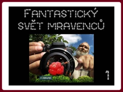 fantasticky_svet_mravencu_andrej_pavlov_1