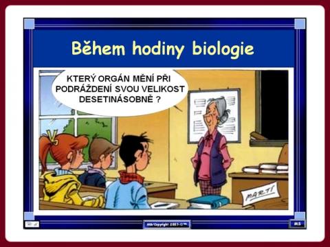 hodina_biologie_organ_-_marc_s