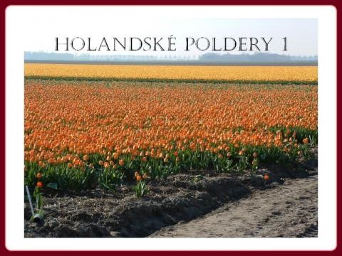 holand_polder_1