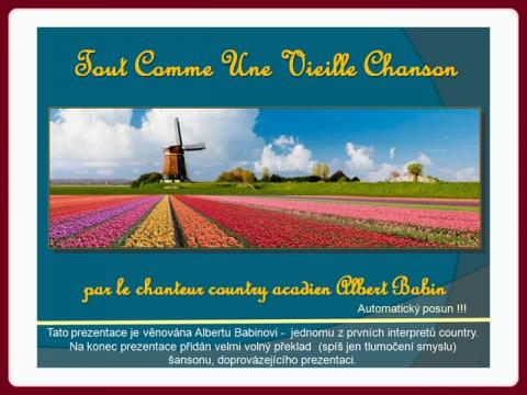holandsko_a_tulipany_-_country