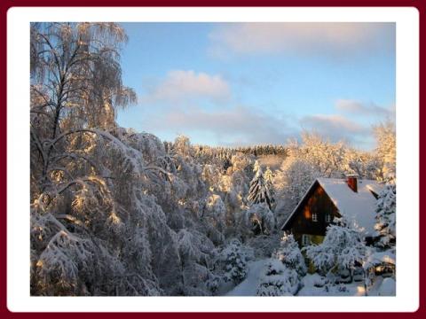 invierno_en_finlandia_-_zima_ve_finsku