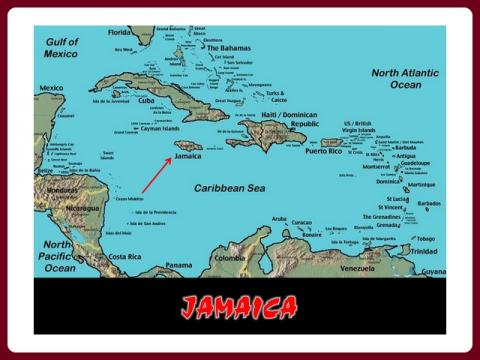 jamaica_-_snoekie