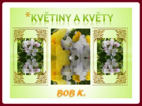 kvetiny_a_kvety_-_bobk
