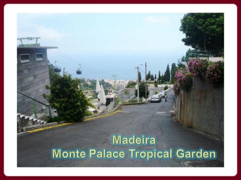 madeira_-_monte_palace_tropical_garden_2009
