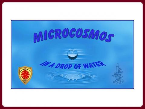 mikrokozmos_v_kvapke_vody_-_steve