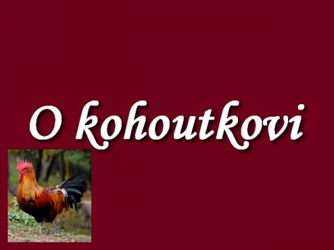 o_kohoutkovi
