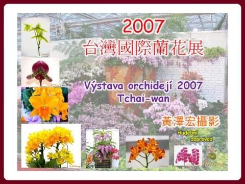 orchideje_tchai_wan_-_orchid_show_in_taiwan_2007