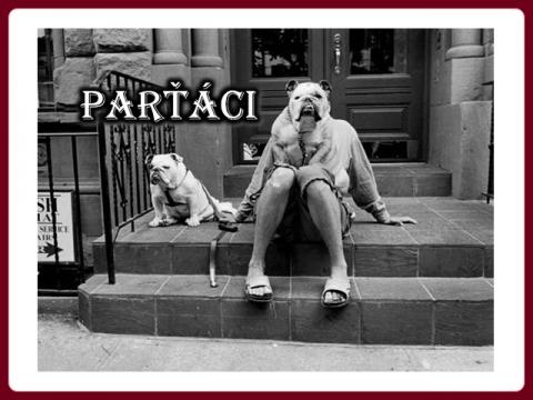 partaci_partners_susy