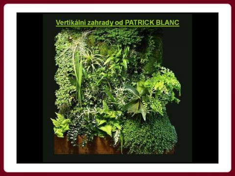 patrick_blanc_-_vertikalni_zahradky