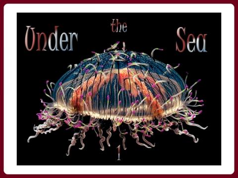 ¨pod_morem_-_under_the_sea_-_judith_1