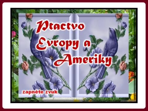 ptactvo_evropy_a_ameriky