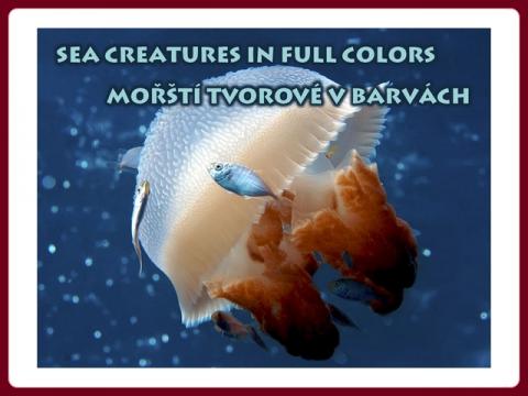 sea_creatures_in_full_colors_-_raymond