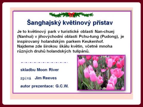 sanghajsky_kvetinovy_pristav_-_shanghai_tulip_cz