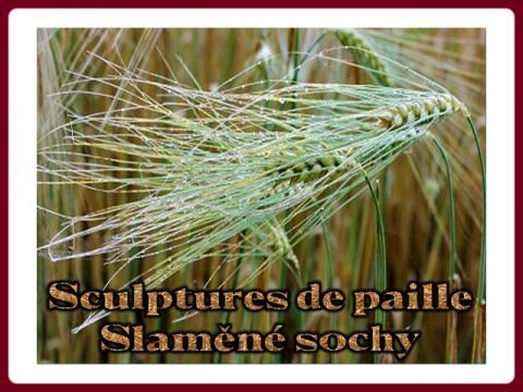 slamene_sochy_-_sculptures_de_paille