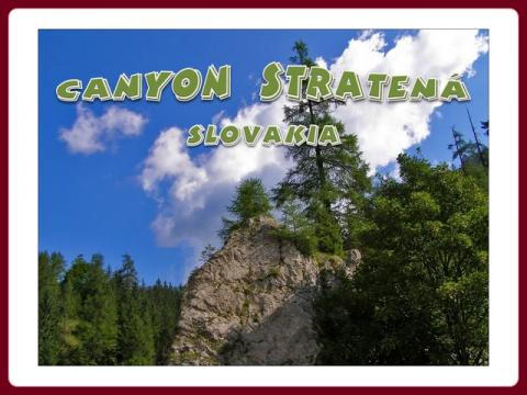 slovensko_-_tiesnava_stratena_-_steve
