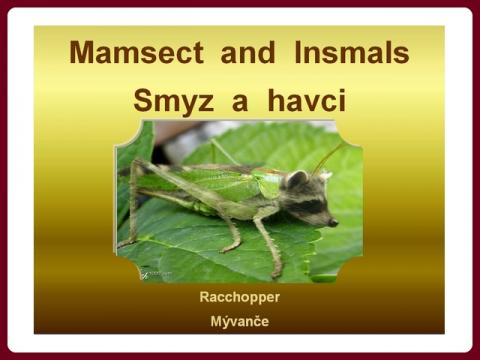 smyz_a_havci_-_mamsect_and_insmals_-_van_gils
