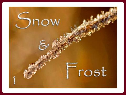 snow_and_frost_-_judith_1