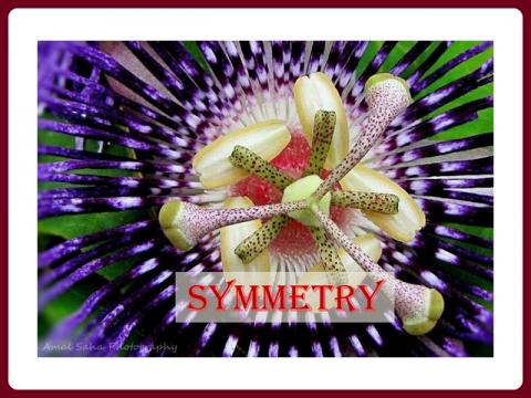 symetrie_-_vamos