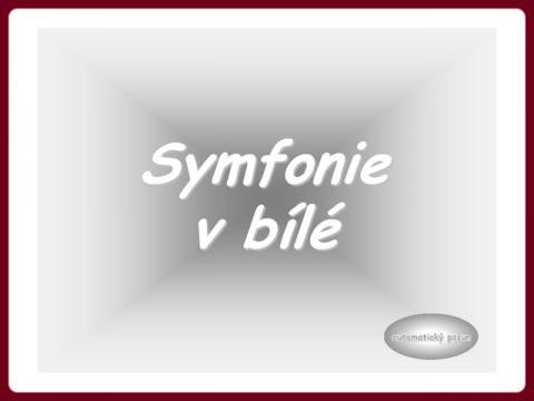 symfonie_v_bile_-_sinfonia_en_blanco