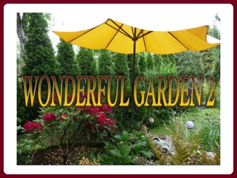 wonderful_garden_-_ildy_2