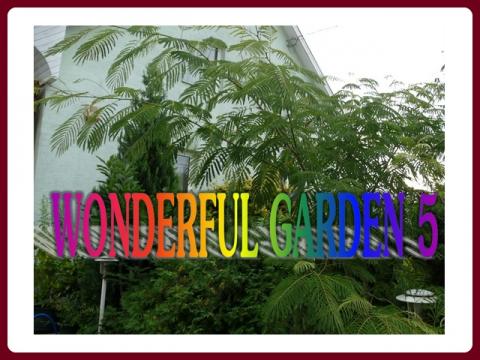 wonderful_garden_-_ildy_5