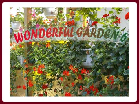 wonderful_garden_-_ildy_6