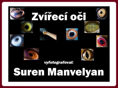 zvireci_oci_-_suren_manvelyan
