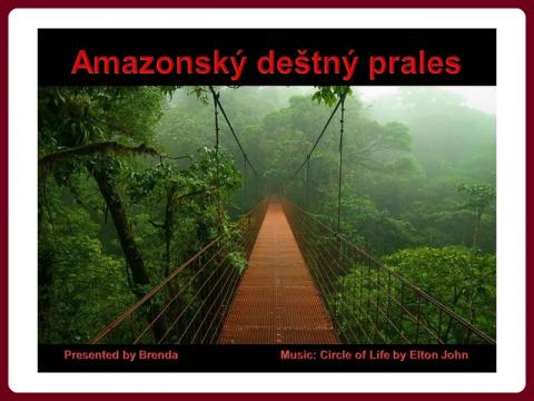 amazonsky_prales_-_amazon_rainforest_-_brenda
