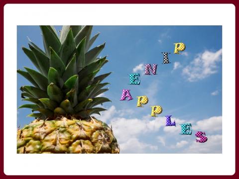 ananas_-_pineapples_-_judith