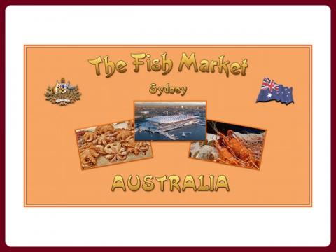 australia_-_sydney_-_fish_market_-_steve