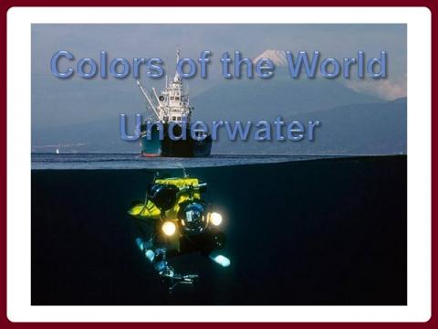 barvy_sveta_-_pod_vodou_-_colors_of_the_world_-_underwater_-_olga-e