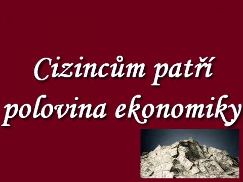 cizincum_patri_polovina_ekonomiky