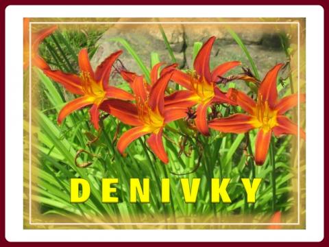 denivky_-_yveta