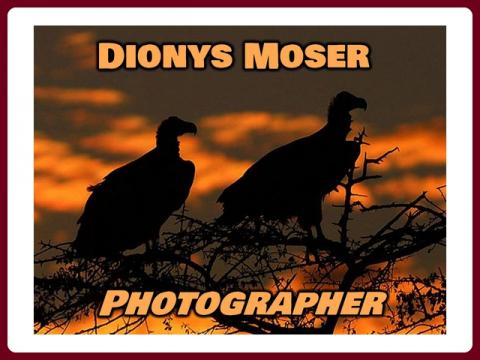 dionys_moser_photographer_-_olga_e