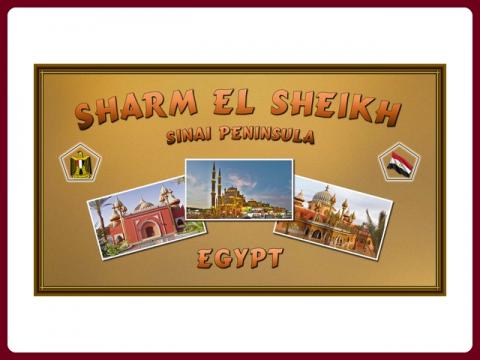 egypt_-_sharm_el_sheikh_-_steve