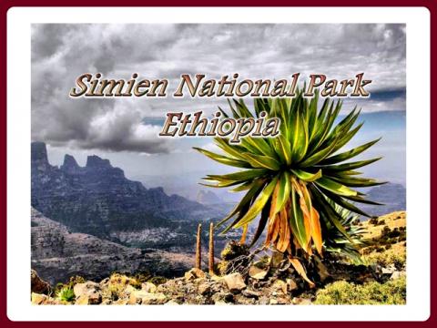 etiopia_-_narodny_park_simien_-_agnerz