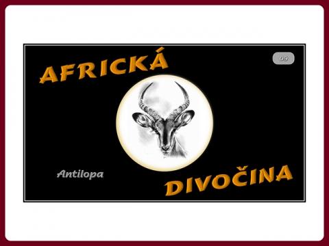 fauna_afriky_-_antilopa_-_steve