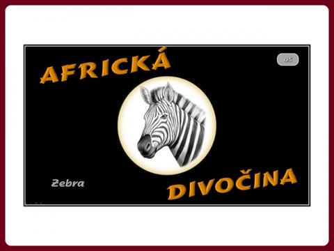 fauna_afriky_-_zebra _-_steve