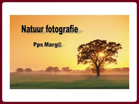 forografie_prirody_-_natuur_fotografie_-_marga