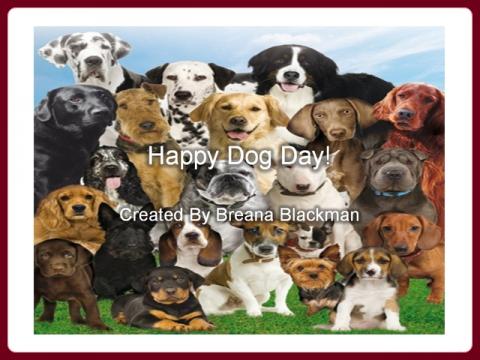 happy_dog_day_-_breana_cz