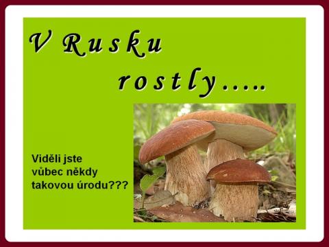 houby_-_uroda_v_rusku_-_milan