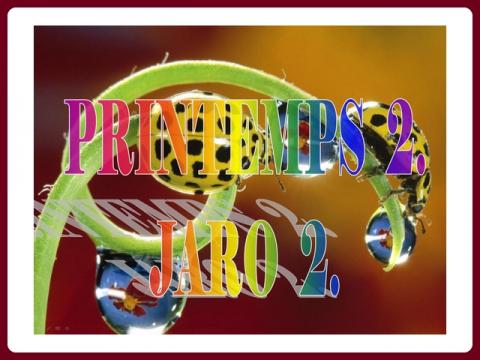 jaro_-_printemps_-_ildy_2