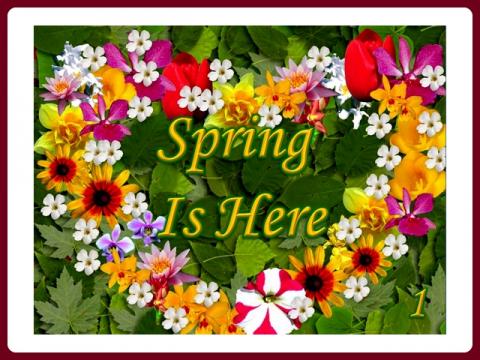jaro_je_tady_-_spring_is_here_-_judith_1