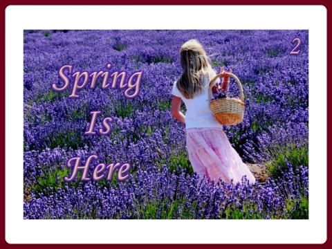 jaro_je_tady_-_spring_is_here_-_judith_2