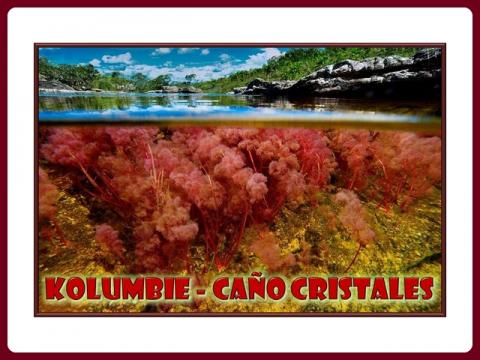 kolumbie_-_cano_cristales_-_mct