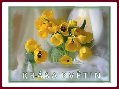 krasa_kvetin_-_yveta