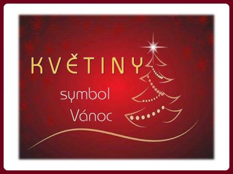 kvetiny_-_symbol_vanoc_-_yveta